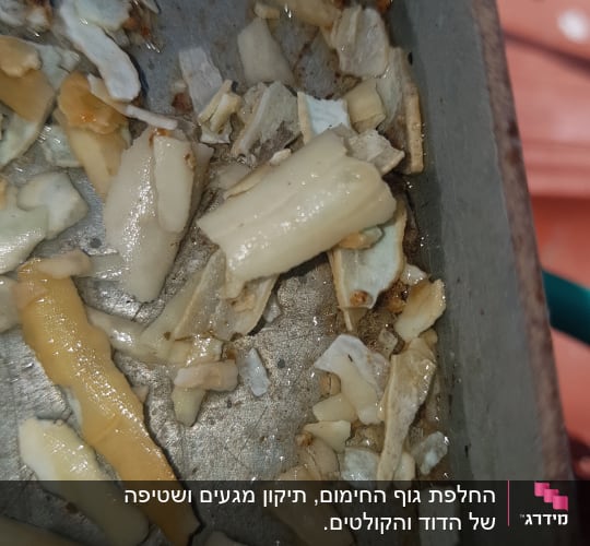 חלקי אבנית בתוך דוד שמש